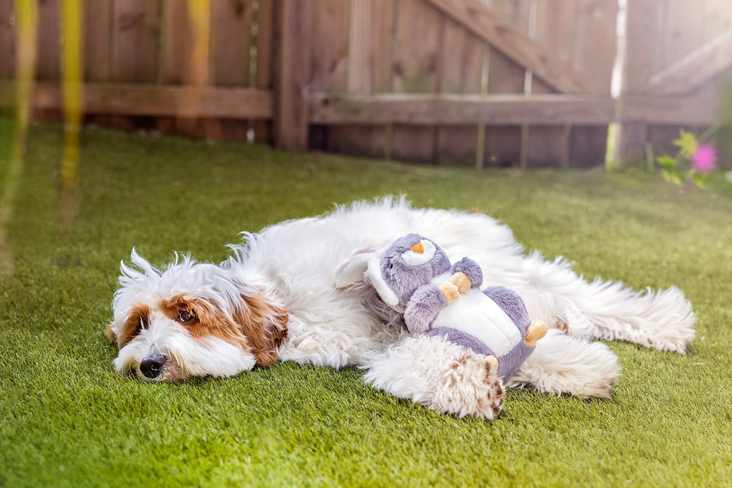 Pascua peluche de Midlee para perros grandes, temática festiva.