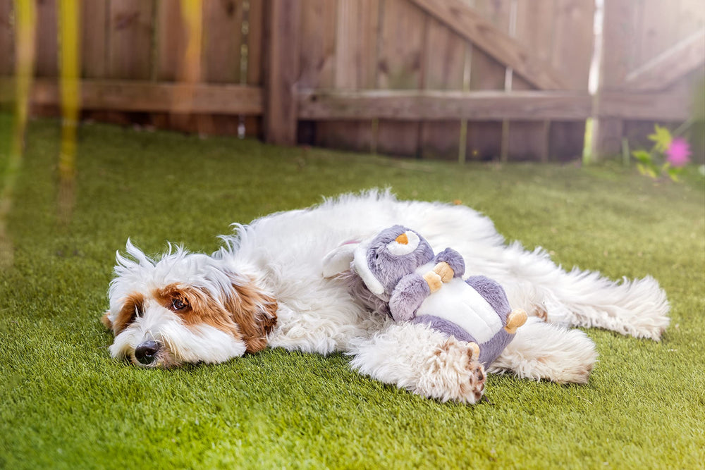 Pascua peluche de Midlee para perros grandes, temática festiva.