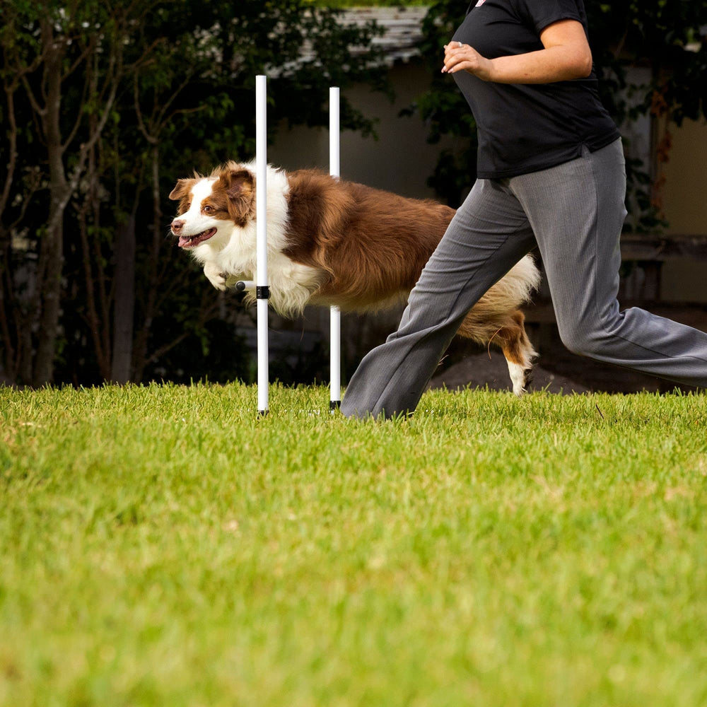 Saltos ajustables para perros de Midlee, versatilidad en entrenamientos