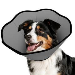 Collar cono MIDOG para perro tras cirugía protege heridas y suturas.