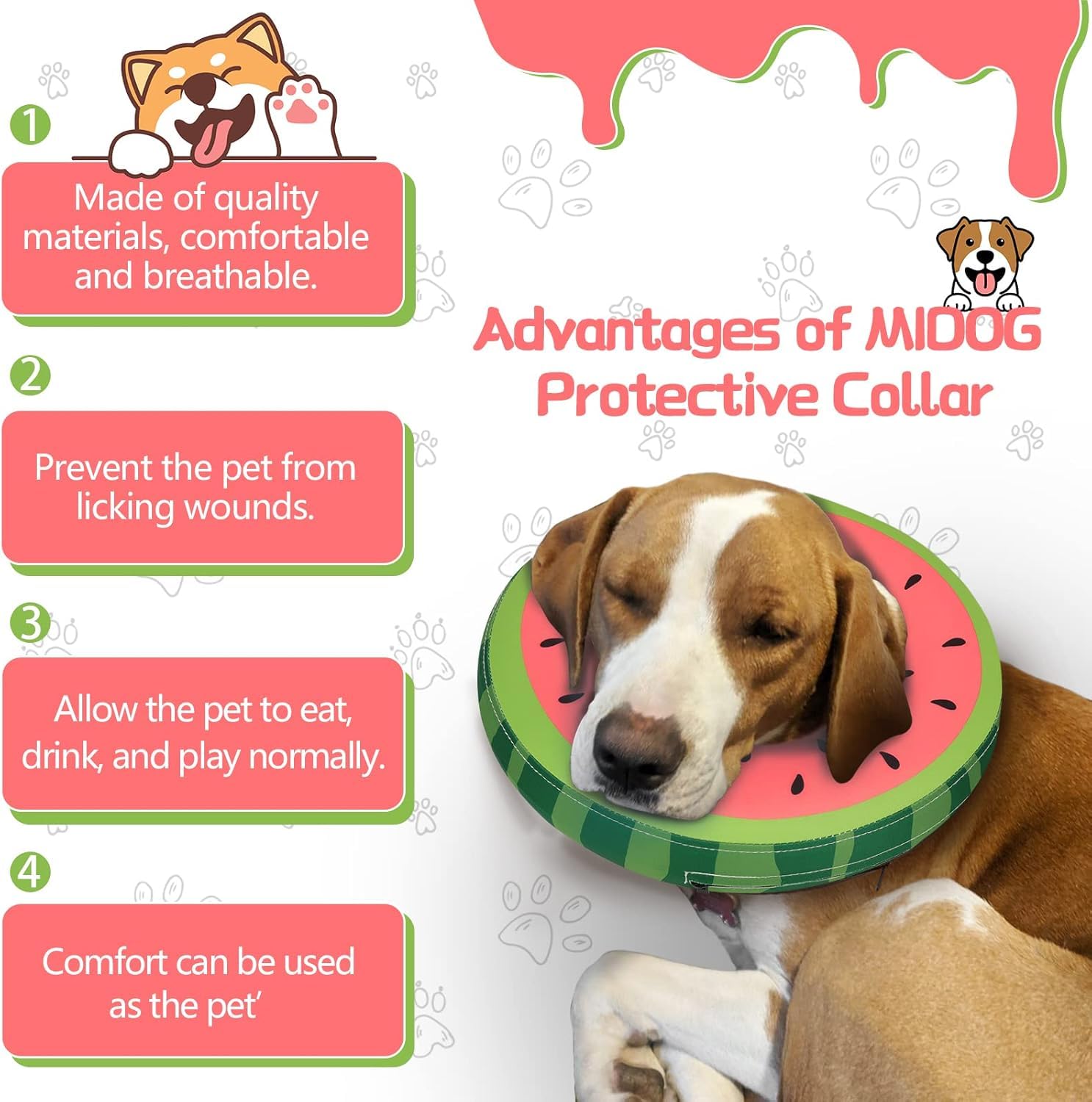 midog collar inflable donut ajustable con hebilla y bucle duradero