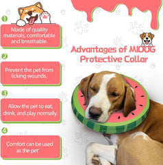 midog collar inflable donut ajustable con hebilla y bucle duradero