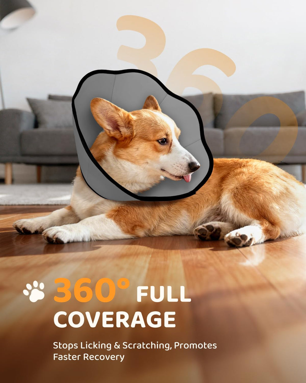MIDOG cono ajustable para perros de diferentes tamaños.