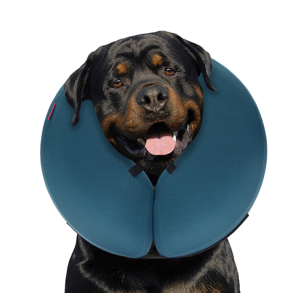MIDOG Donut inflable: collar suave para perro azul XL evita lamer heridas