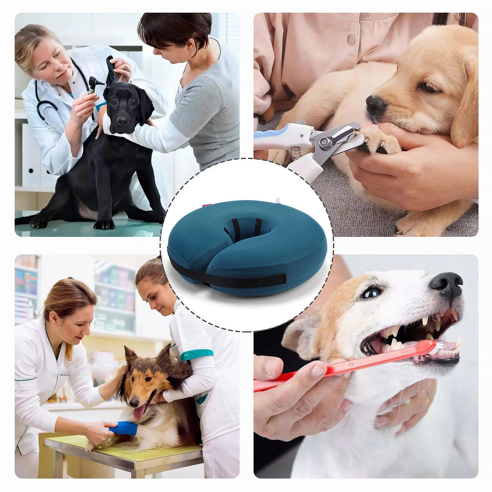 MIDOG donut inflable: opción portátil para viajes y recuperación
