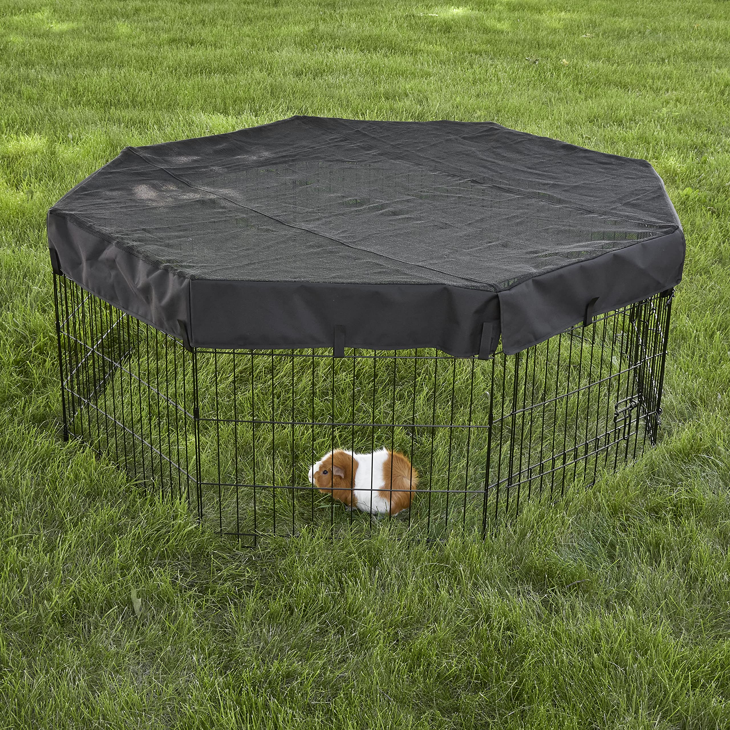 MidWest Hogares para Mascotas: malla privacidad para uso interior y exterior.