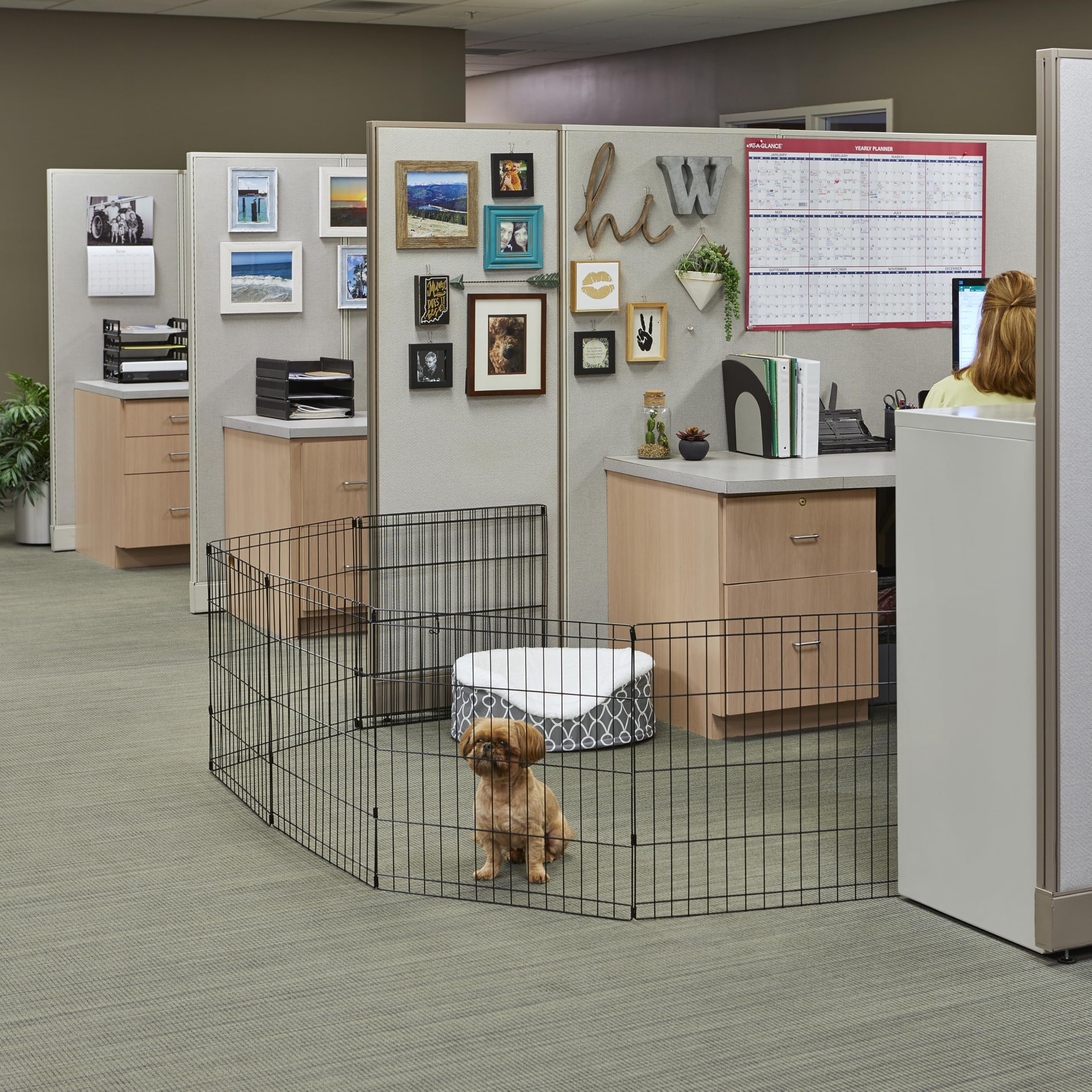 Cuatro anclajes de suelo de MidWest Homes for Pets para mayor estabilidad al aire libre.