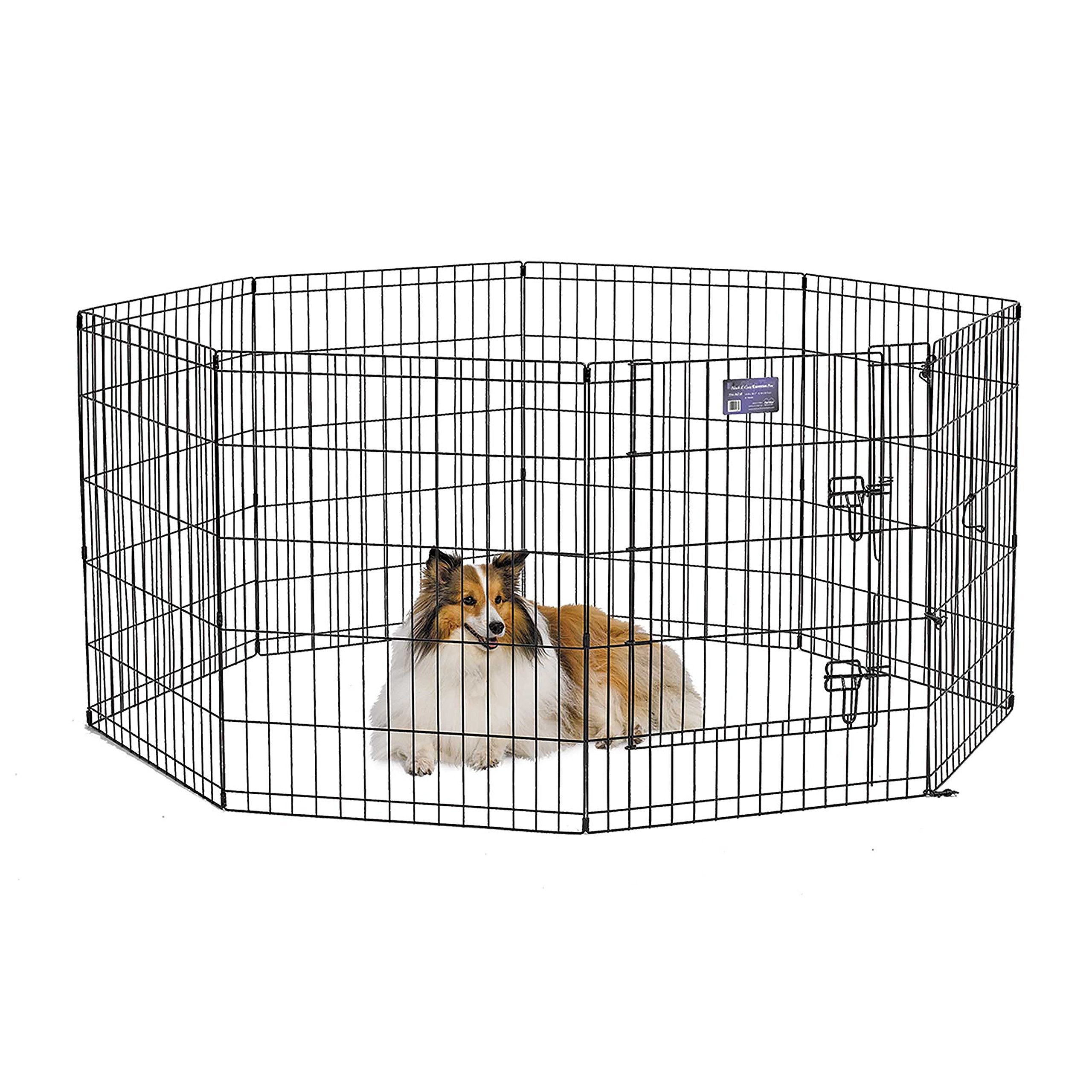 MidWest Homes for Pets, pen-ejercicio de 30 pulgadas, espacio de 16 pies para juego seguro.