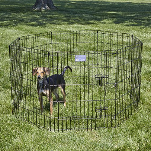 MidWest Homes for Pets, pen-ejercicio, apertura de puerta grande para entrar y salir.