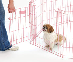 MidWest Homes for Pets: puerta grande facilita entrada y salida durante el juego.