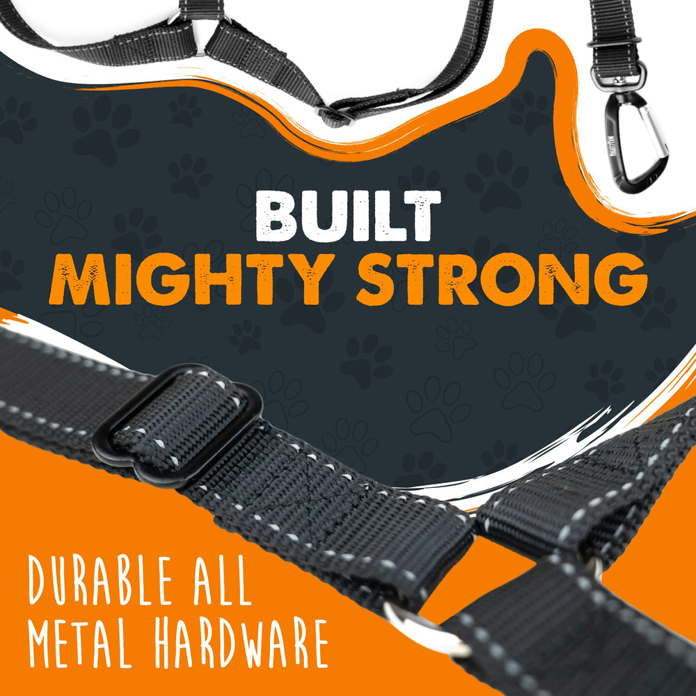 Mighty Paw carabine 850 lbs, capacité élevée pour plus de sécurité.