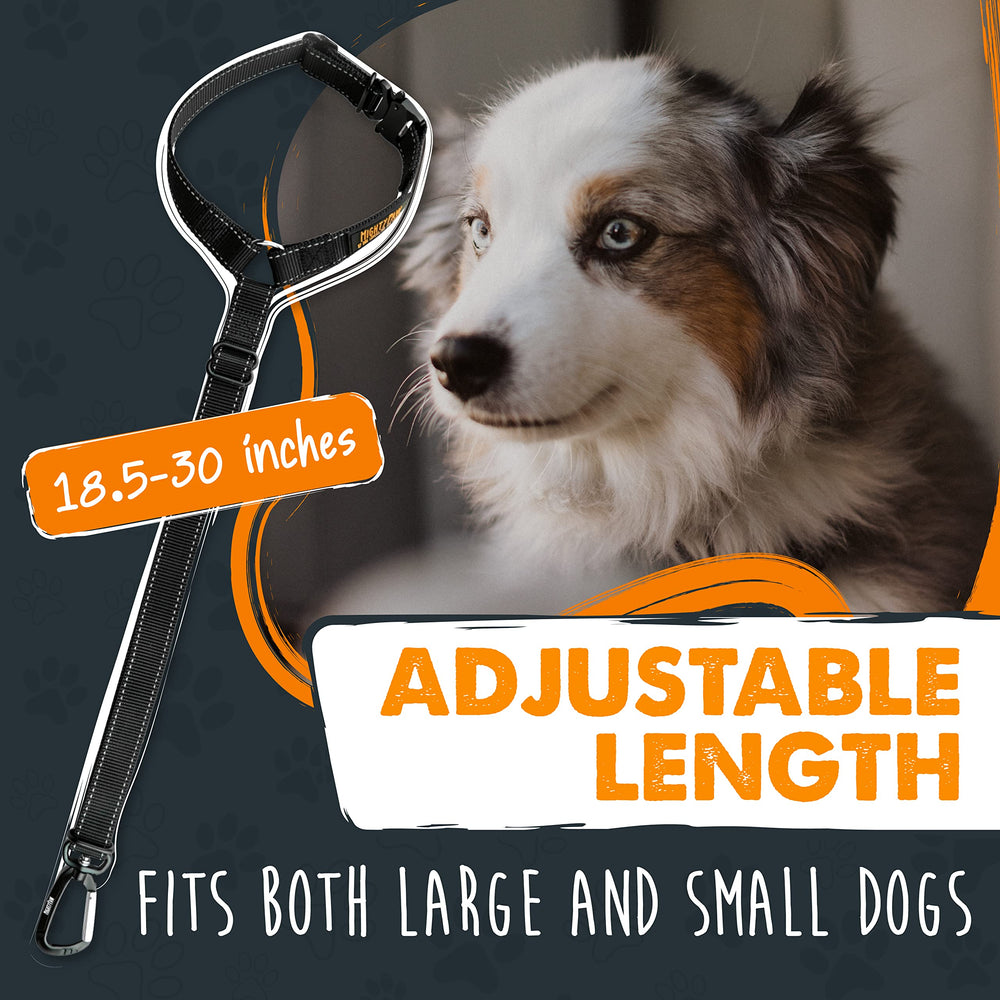 Mighty Paw carabine aviation alu, attache robuste et durable.