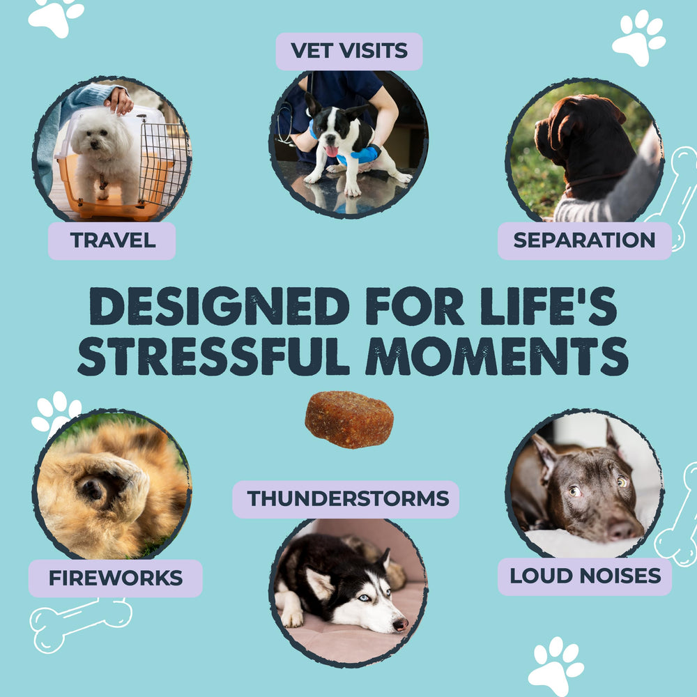 Chamomile and L-tryptophan blend supports relaxation in dogs.