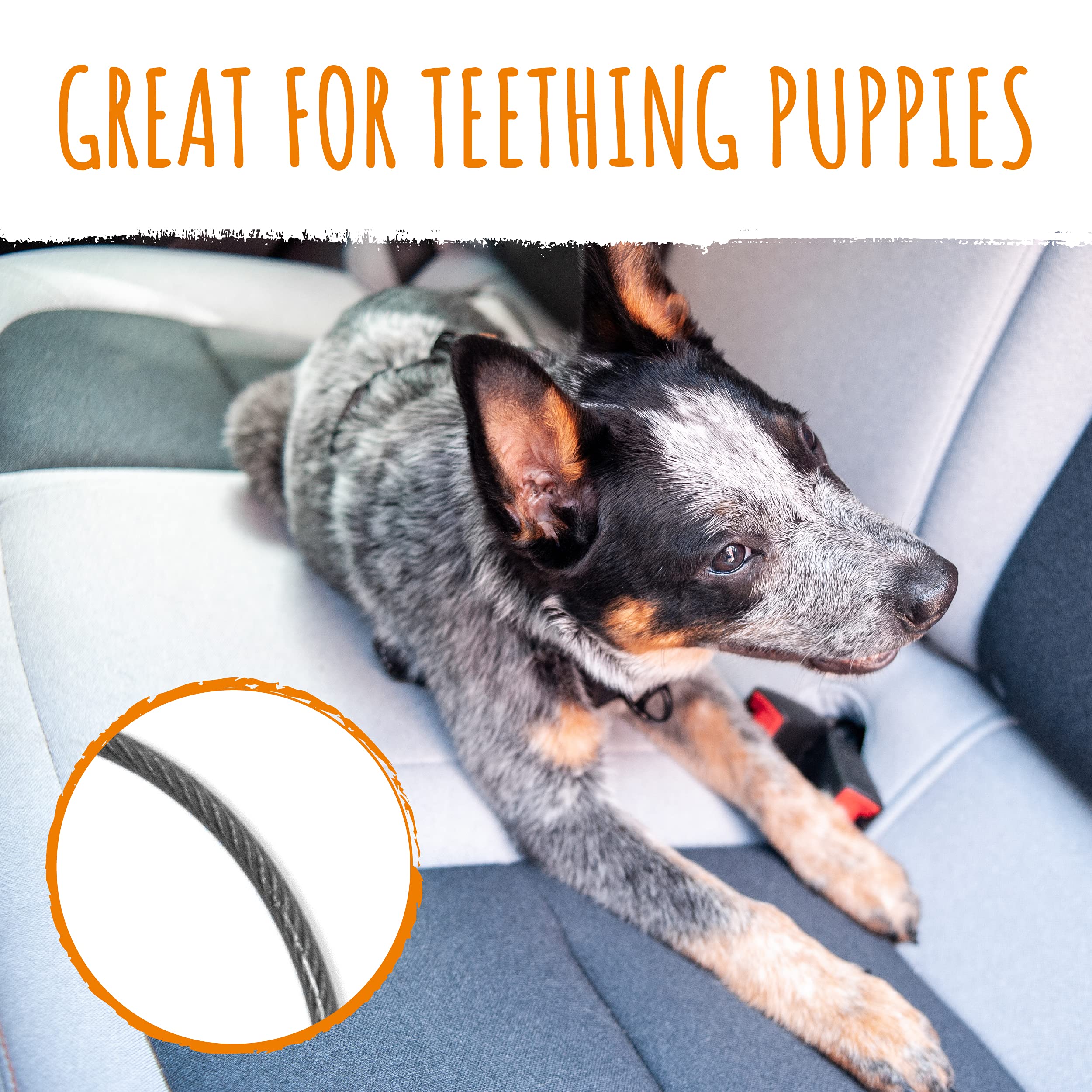 Cinturon Mighty Paw para perro conectado al arnes para viaje