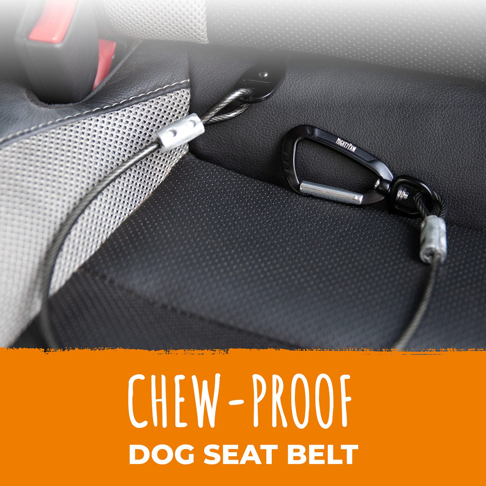 Cinturon Mighty Paw para perro con anclas para coche y seguridad
