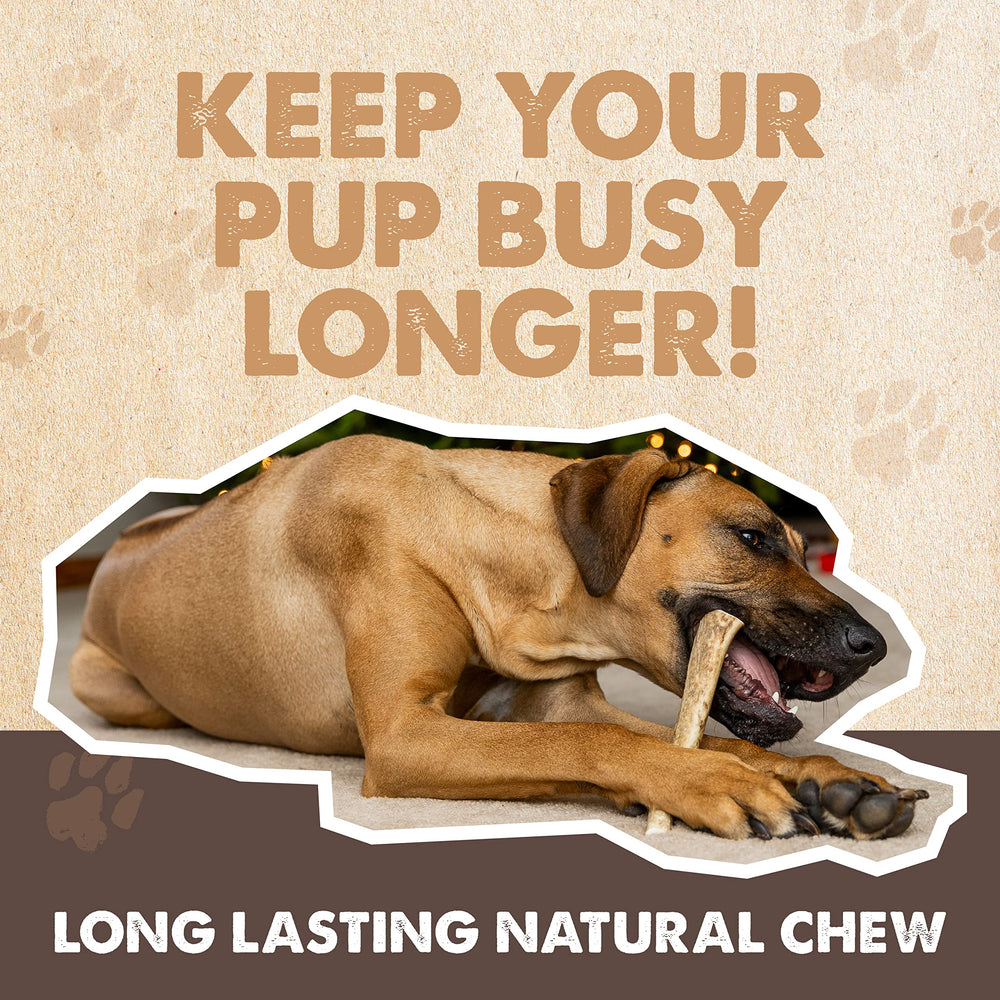 Cuernos de ciervo Mighty Paw ayudan a dientes sanos de forma natural.