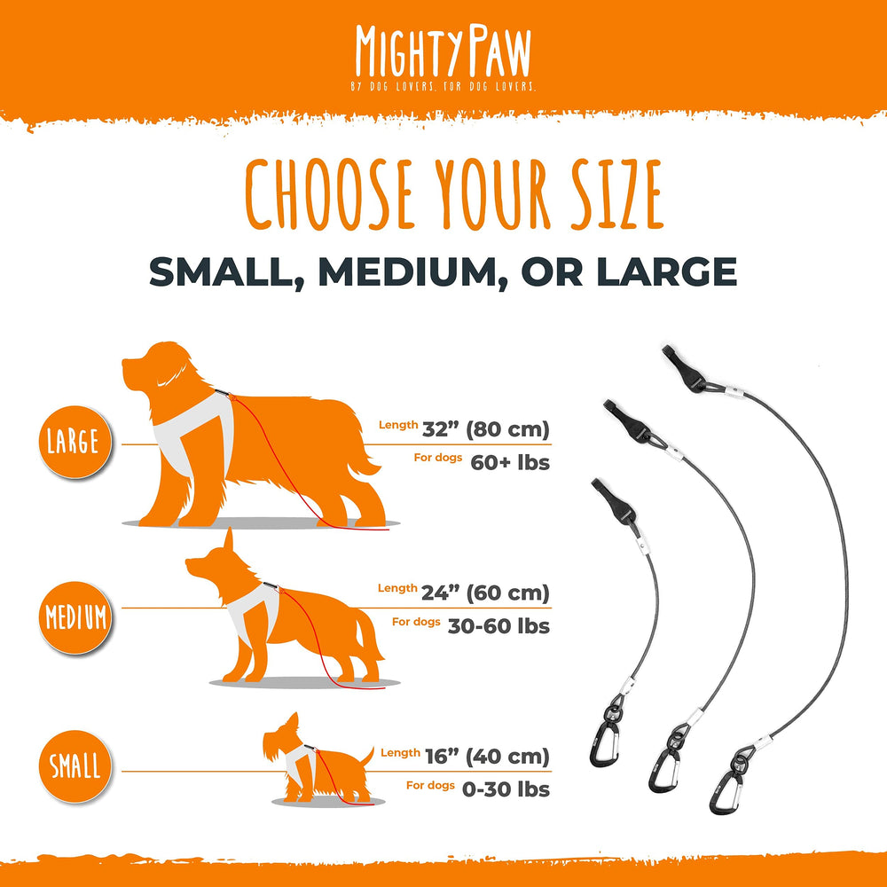 Denticion Mighty Paw segura para cachorros durante viajes