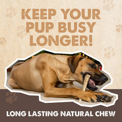 Mighty Paw astas para dientes saludables, ayuda a limpieza dental suave.