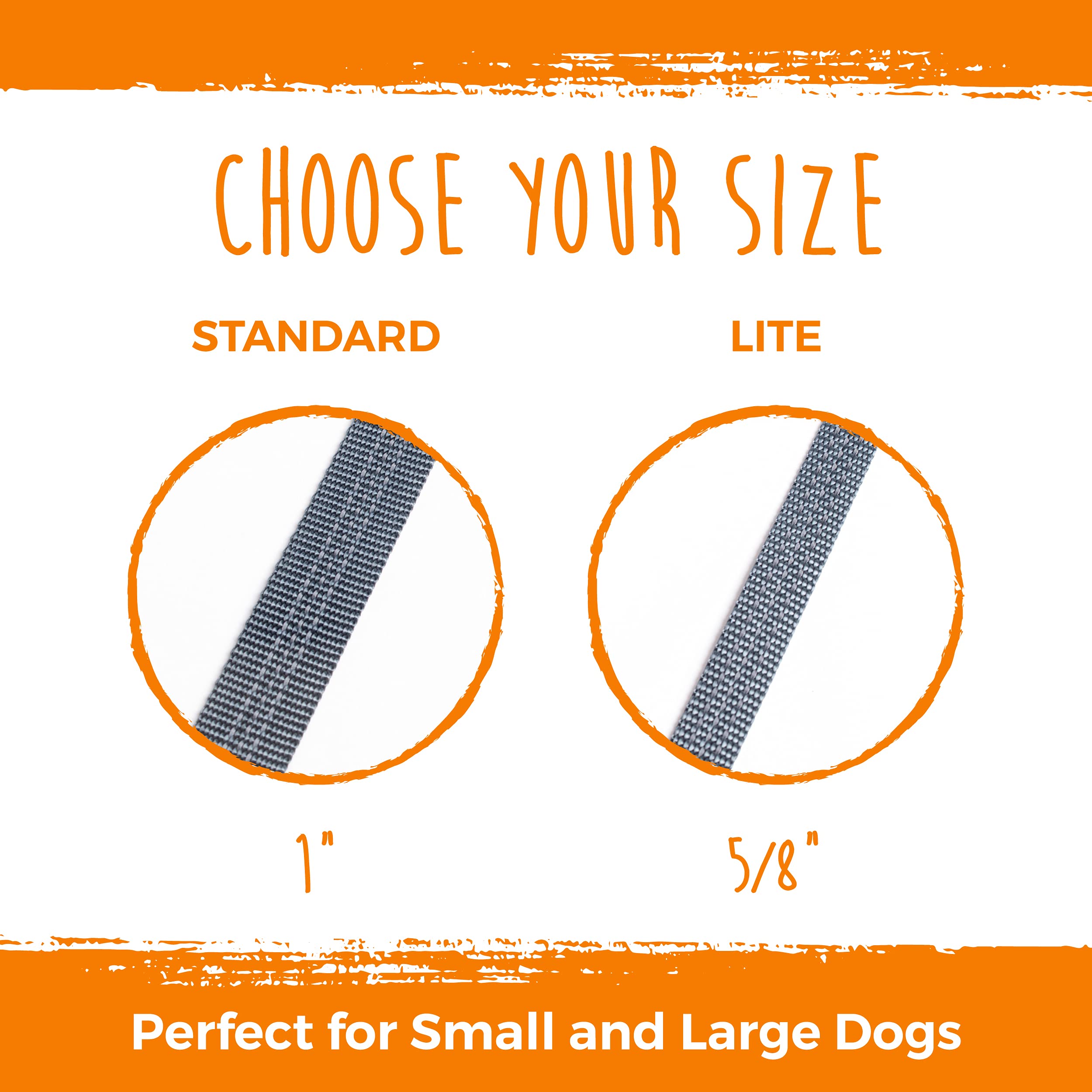 Mighty Paw doble correa para dos perros, sin enredos durante caminatas