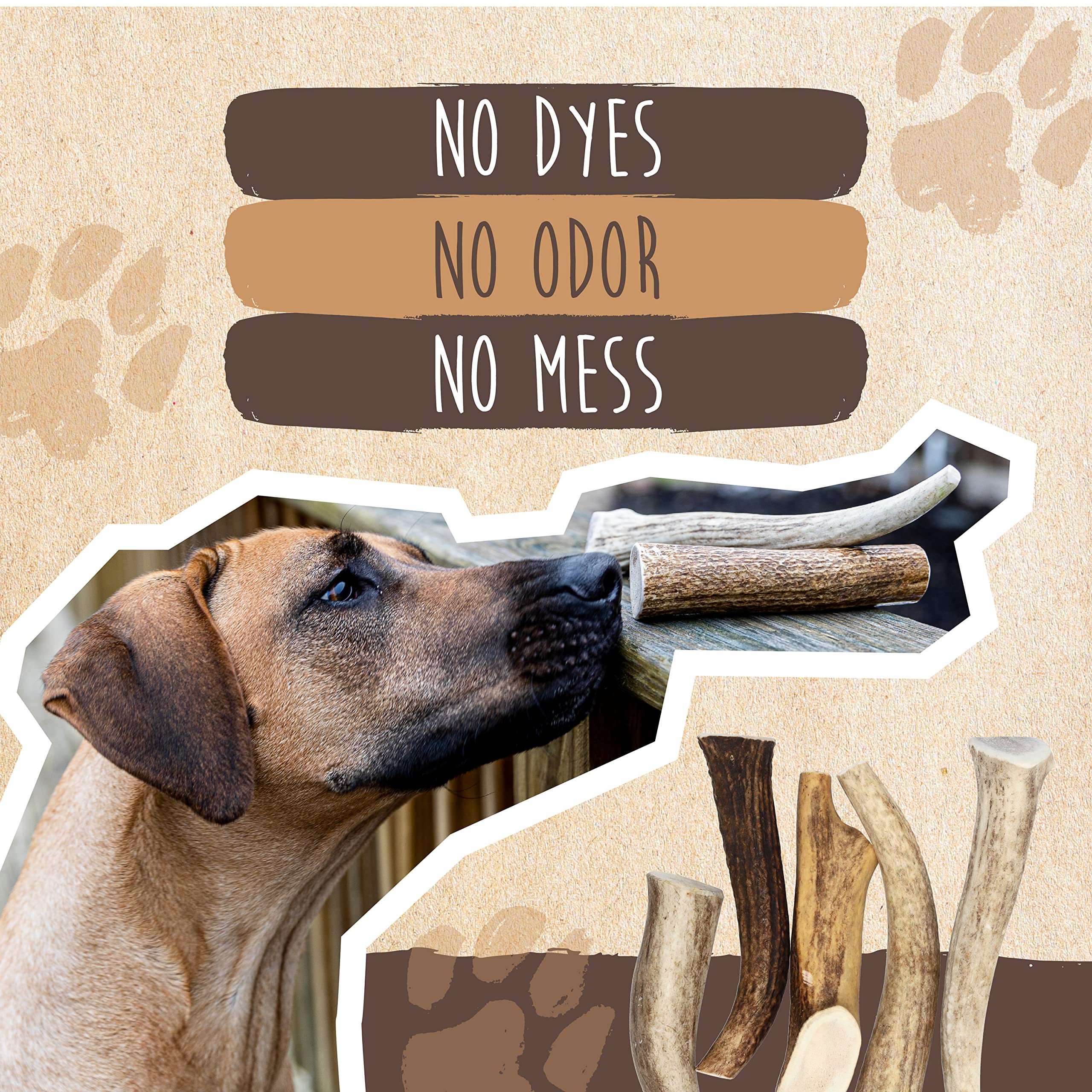 Mighty Paw entretenimiento dental con astas, promueve actividad mental del perro.