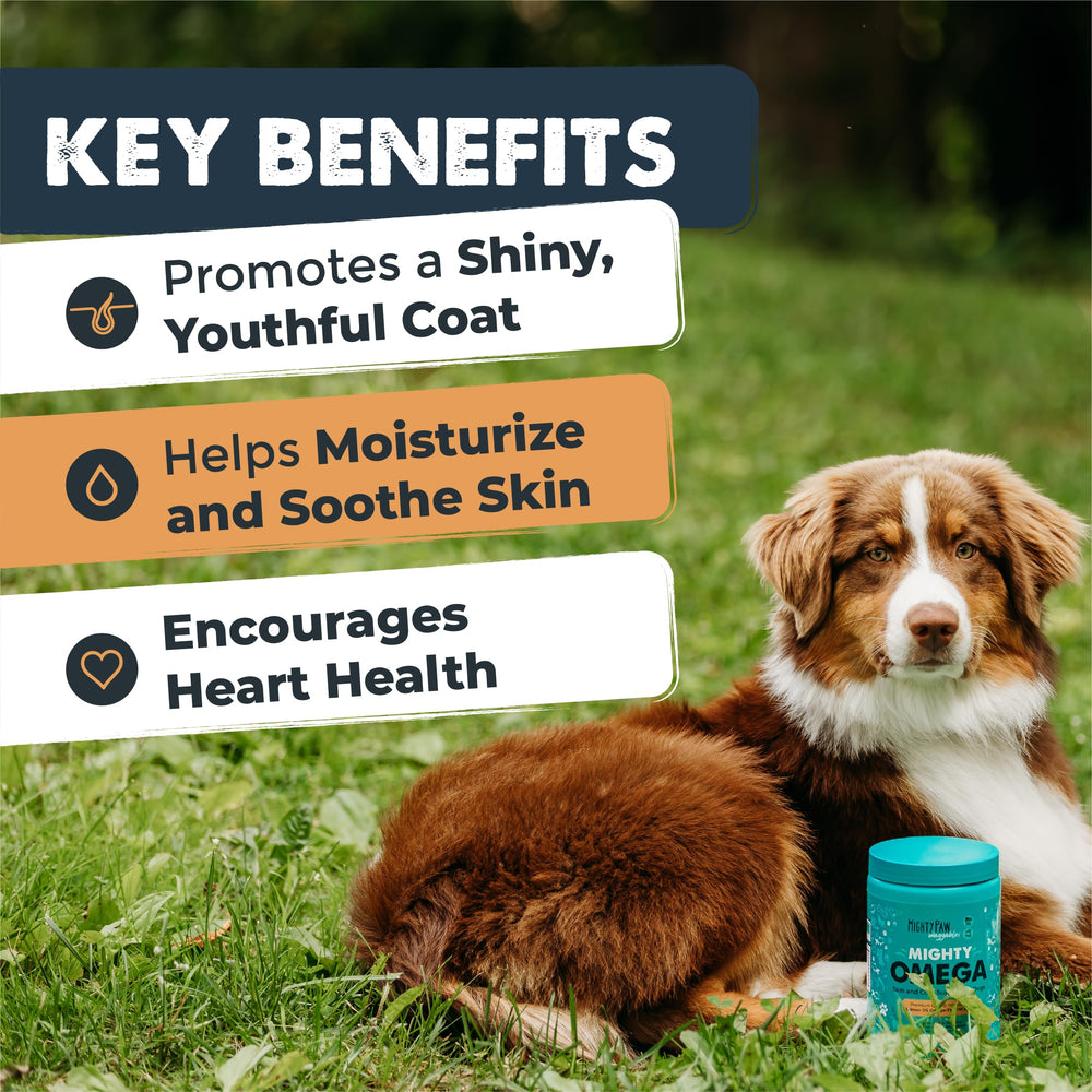 Mighty Paw Mighty Omega: gomitas suaves para pelaje sano.