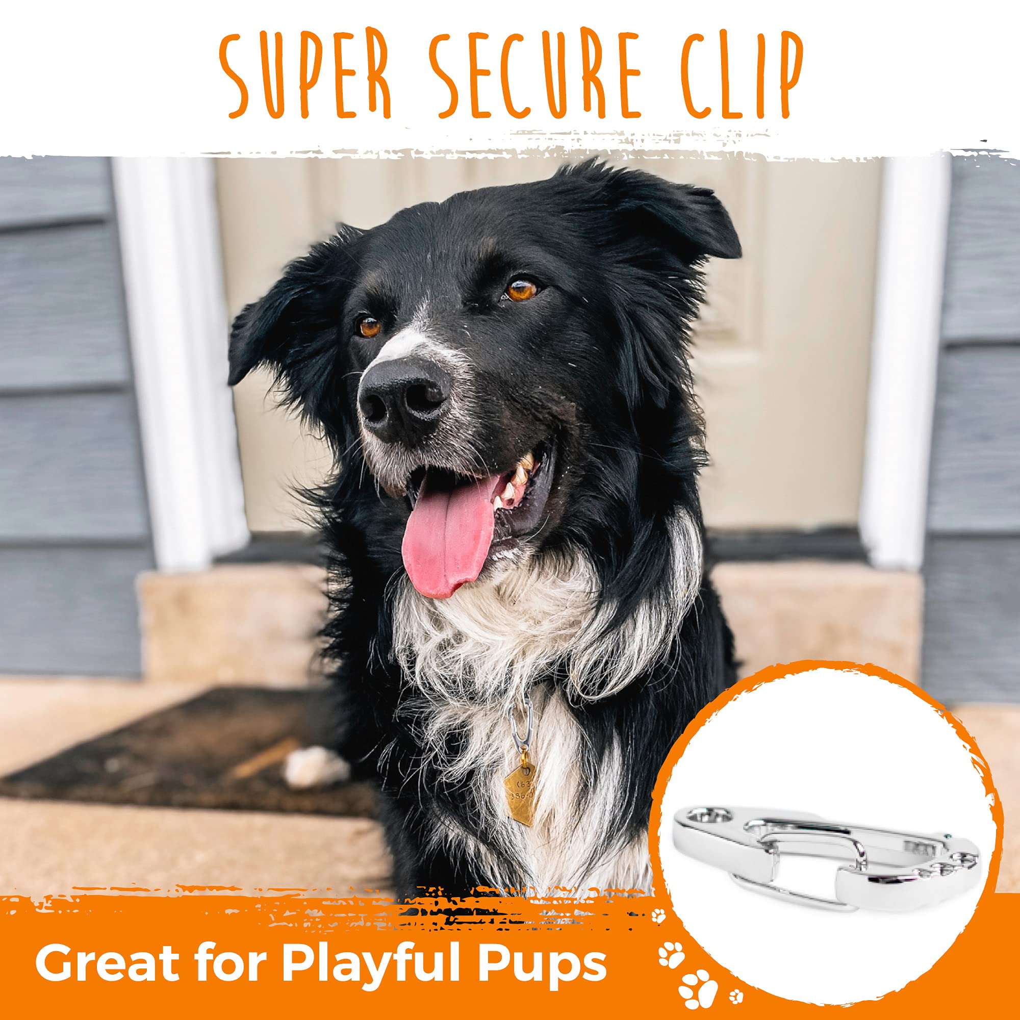 Mighty Paw mosquetón multiuso, perfecto para familias con varios perros.