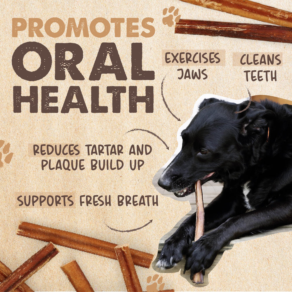 Sin conservantes, Mighty Paw Naturals ofrece snack natural para perros activos.