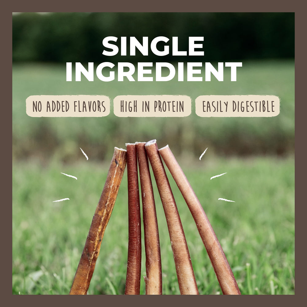 Mighty Paw Naturals Bully Sticks: para perros grandes, fomentan la masticación saludable.