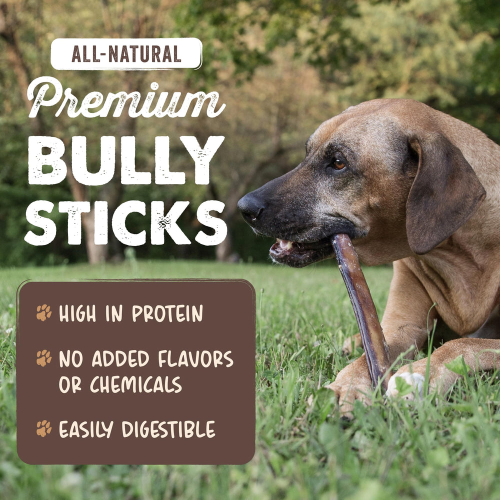Mighty Paw Naturals, ingrediente único ternera, snack natural para perros