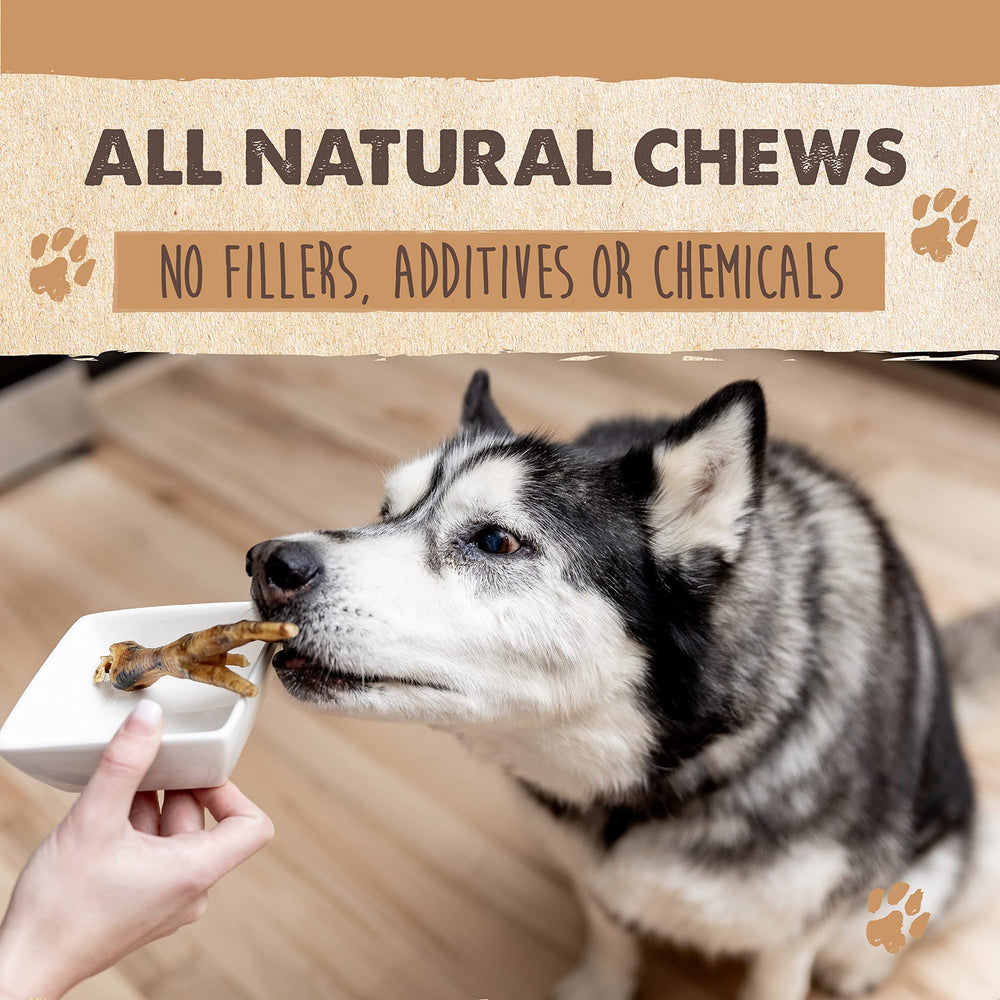 Patitas de pollo deshidratadas lentamente, Mighty Paw Naturals, sabor intenso