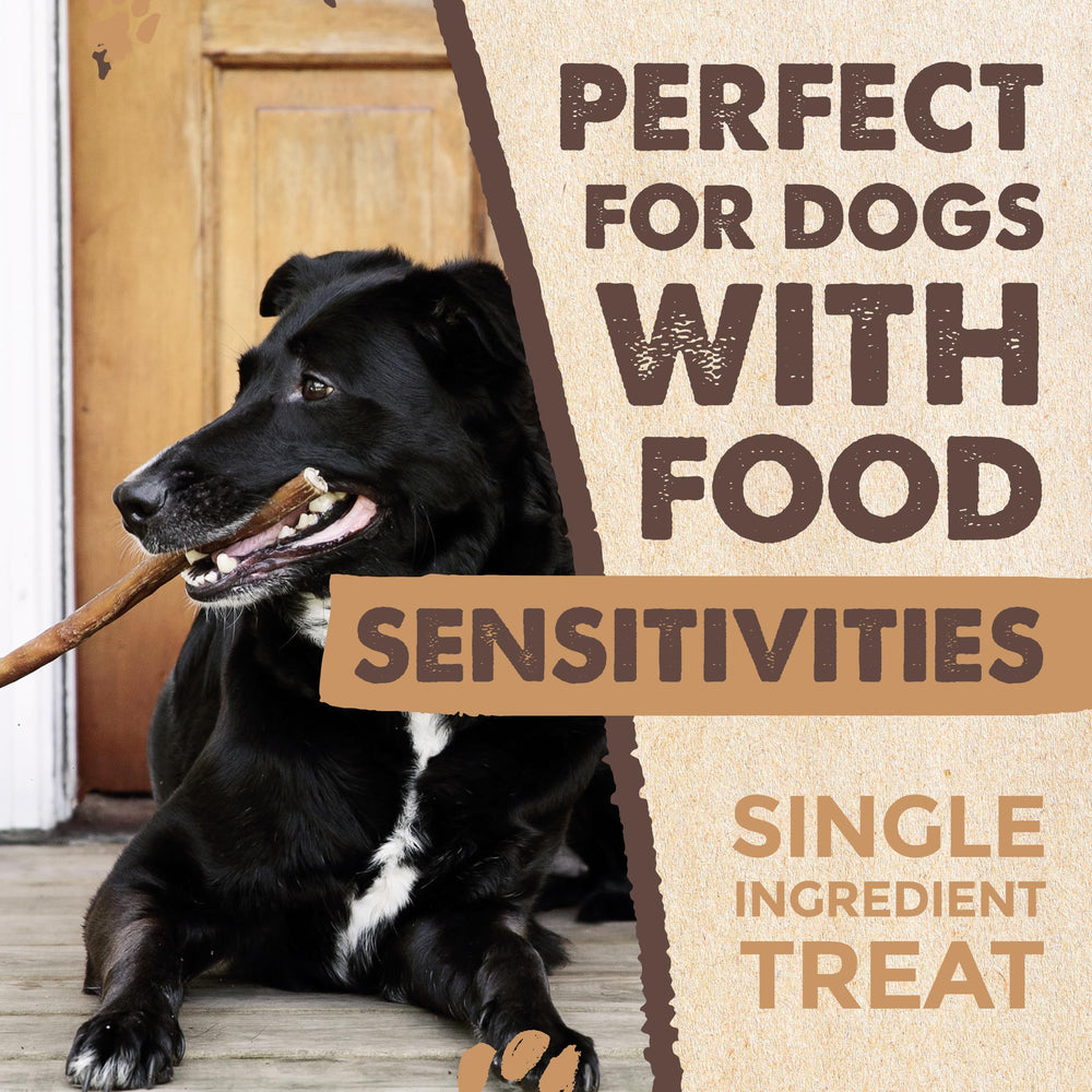 Mighty Paw Naturals textura masticable que entretiene a perros.