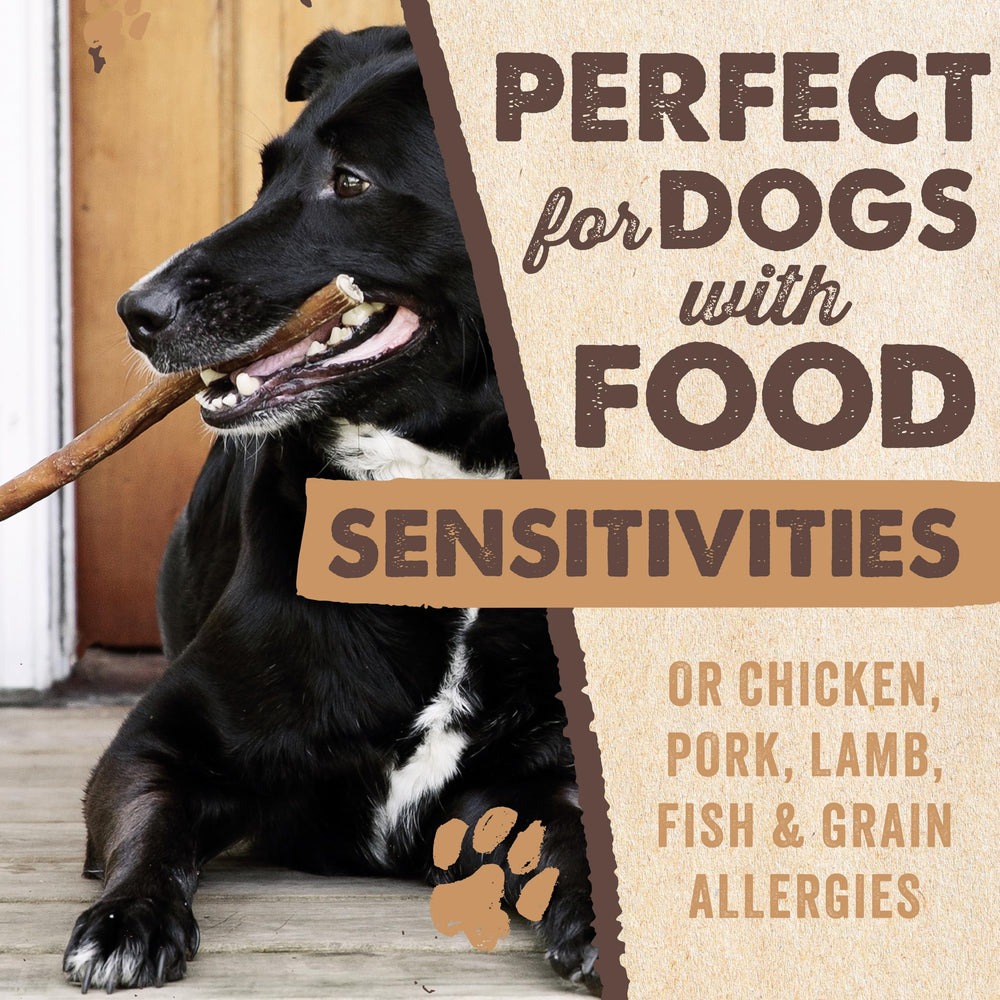 Mighty Paw Naturals, uso diario para perros, masticación confiable