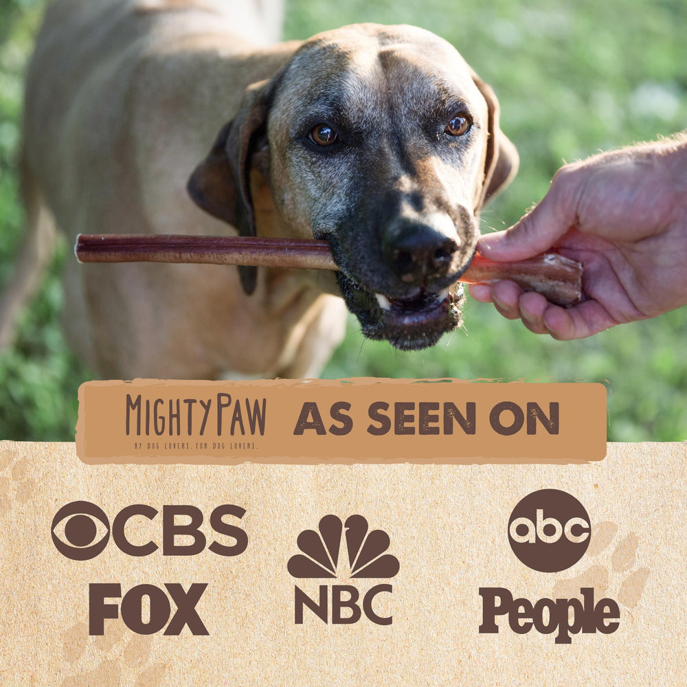Mighty Paw para perros grandes, premio proteico y sabroso.