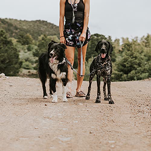 Mighty Paw paseo dual con luz para mayor seguridad nocturna