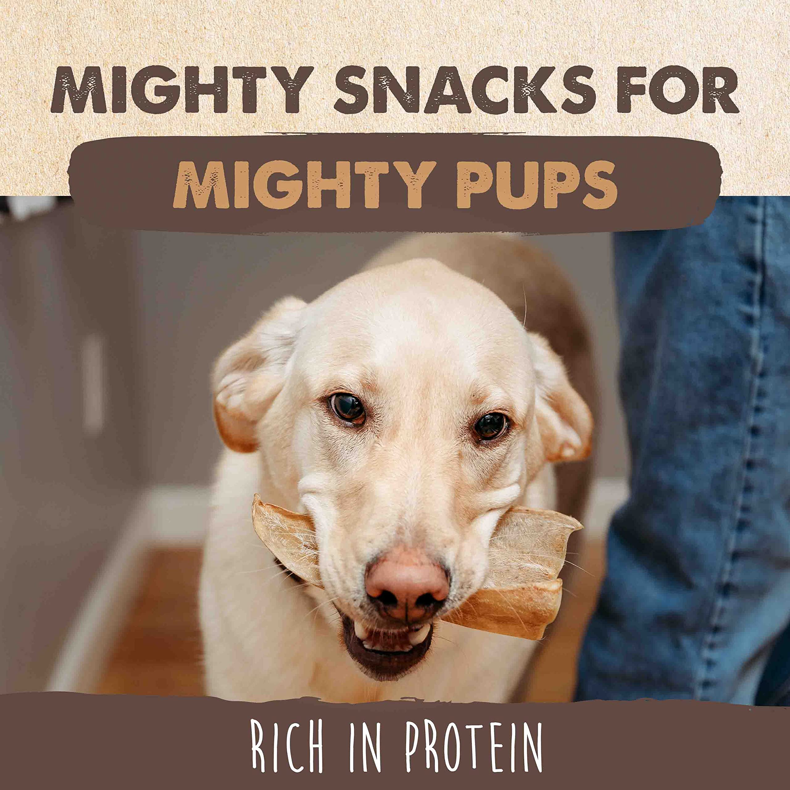 Mighty Paw fuente natural de proteínas para apoyo muscular en perros.
