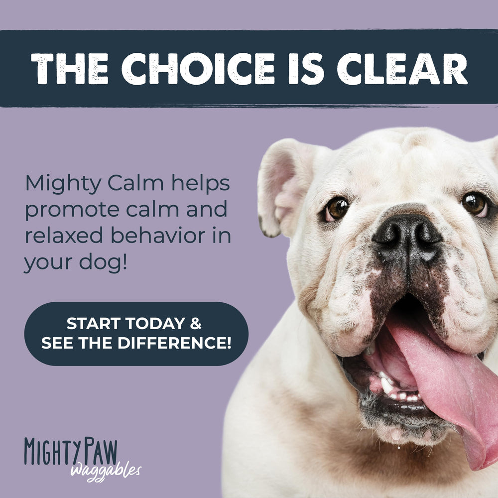 Suitable for puppies and large dogs seeking calm moments.