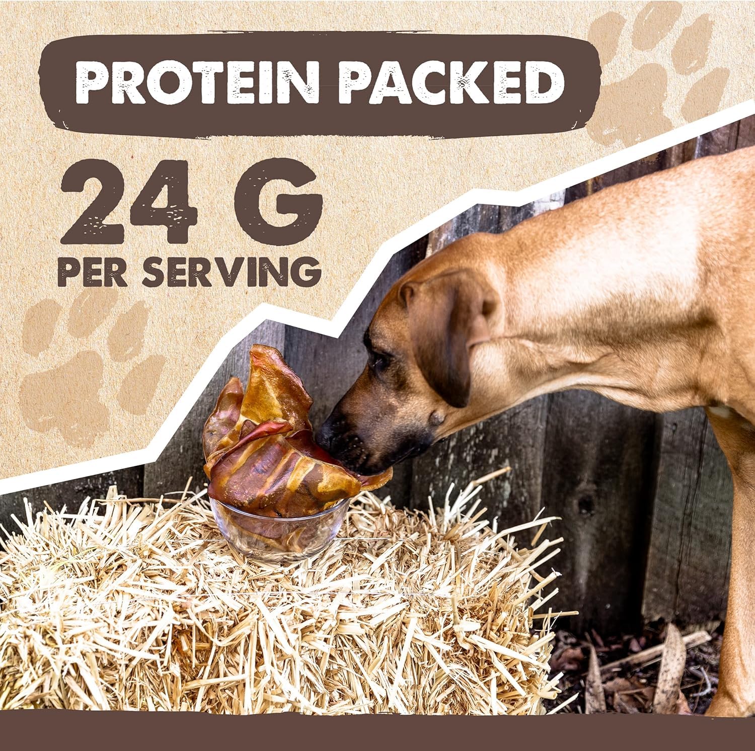 Mighty Paw sin granos ni gluten, apto para estómagos sensibles.