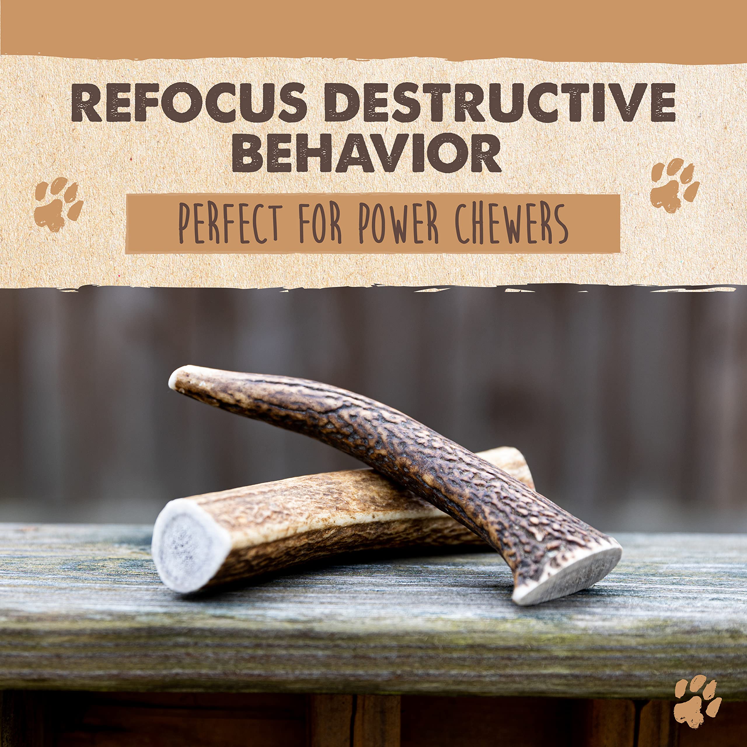 Tamaño mediano seguro para masticación con Mighty Paw.