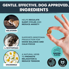 Vet formulated Mighty Paw chews with melatonin and chamomile.