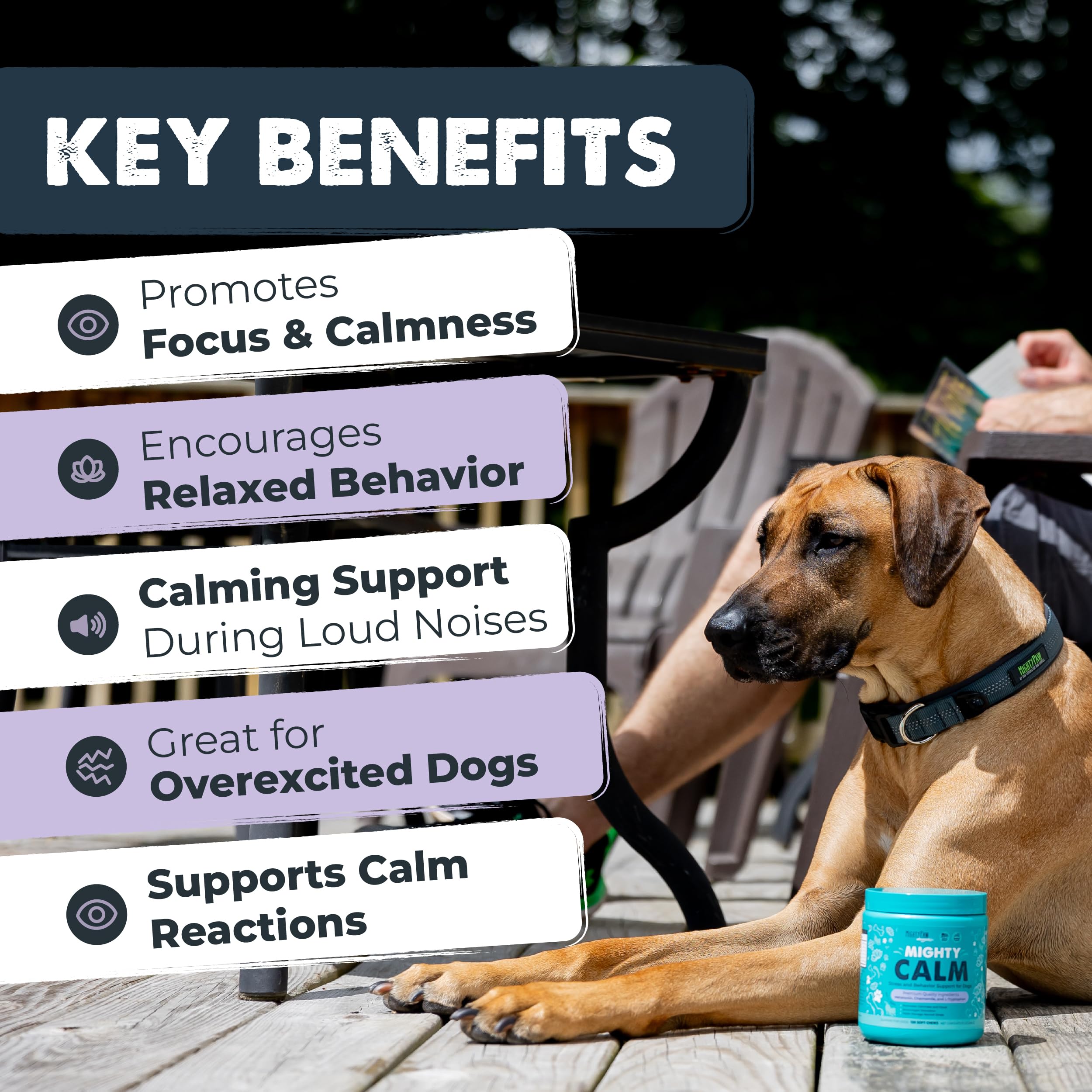 Mighty Paw Waggables bacon-flavored calming chews for dogs.