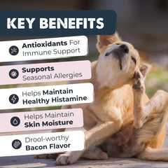 Comprimidos sabor bacon de Mighty Paw Waggables, fáciles de administrar cada día.