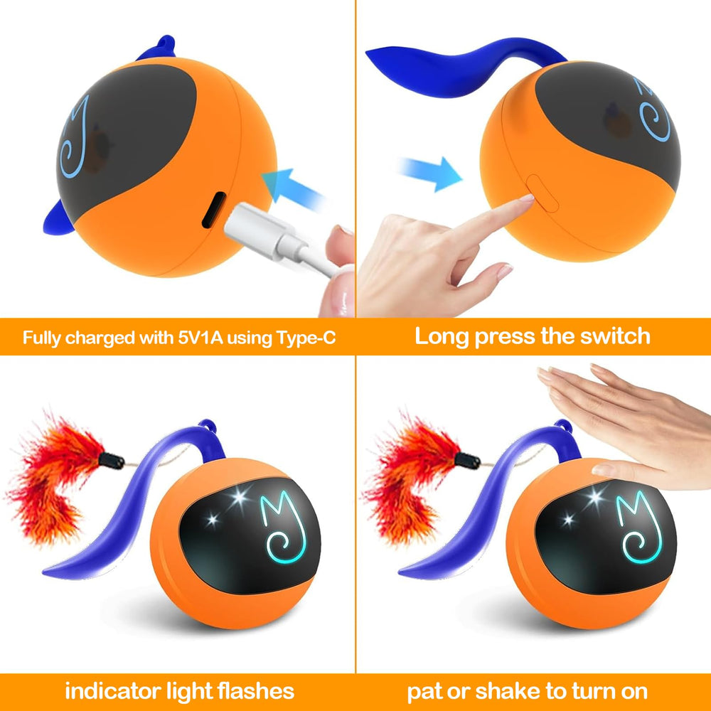 Migipaws balle joue sur moquette et sol dur pour stimulation polyvalente.