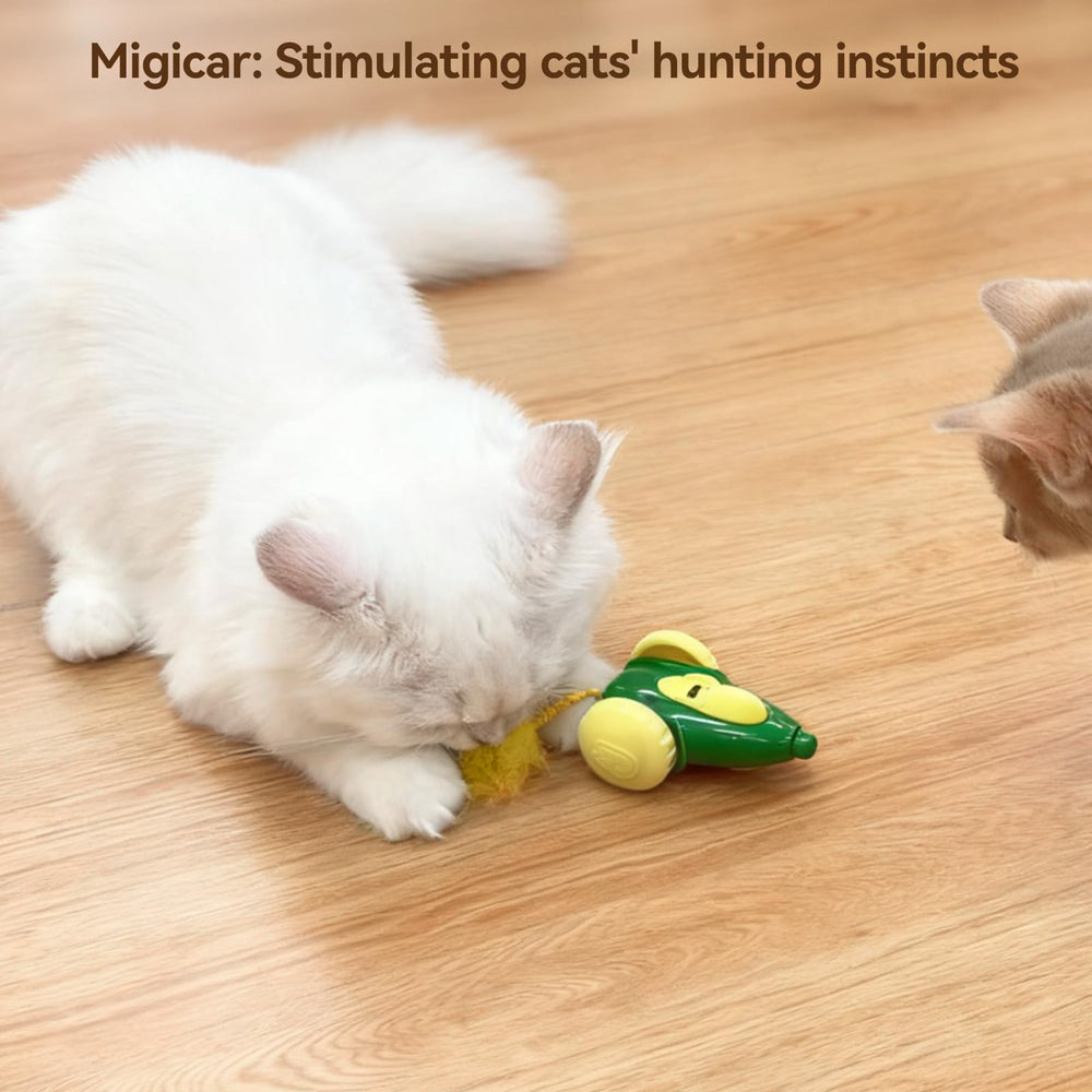 Migipaws Migicar ruedas grandes con silicona para suelos duros y alfombras