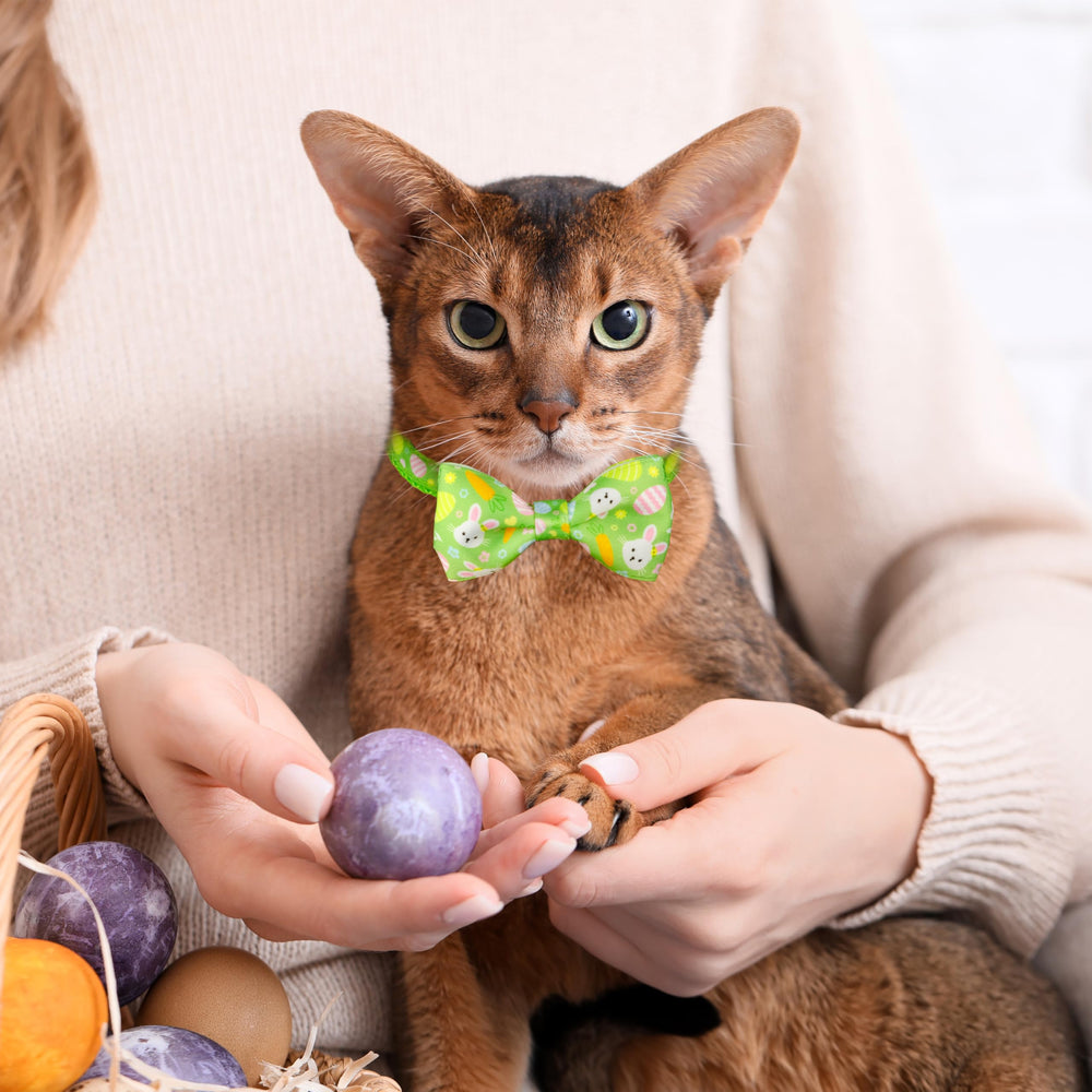 Colgante huevo de Pascua en collar Miiemiu, añade encanto a la ropa de fiesta.
