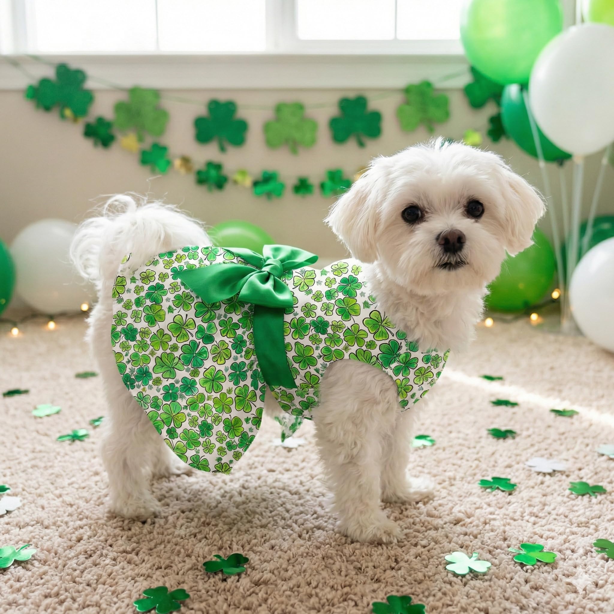 Miiemiu talla pequena, ideal para razas pequeñas como pomerania y maltés.