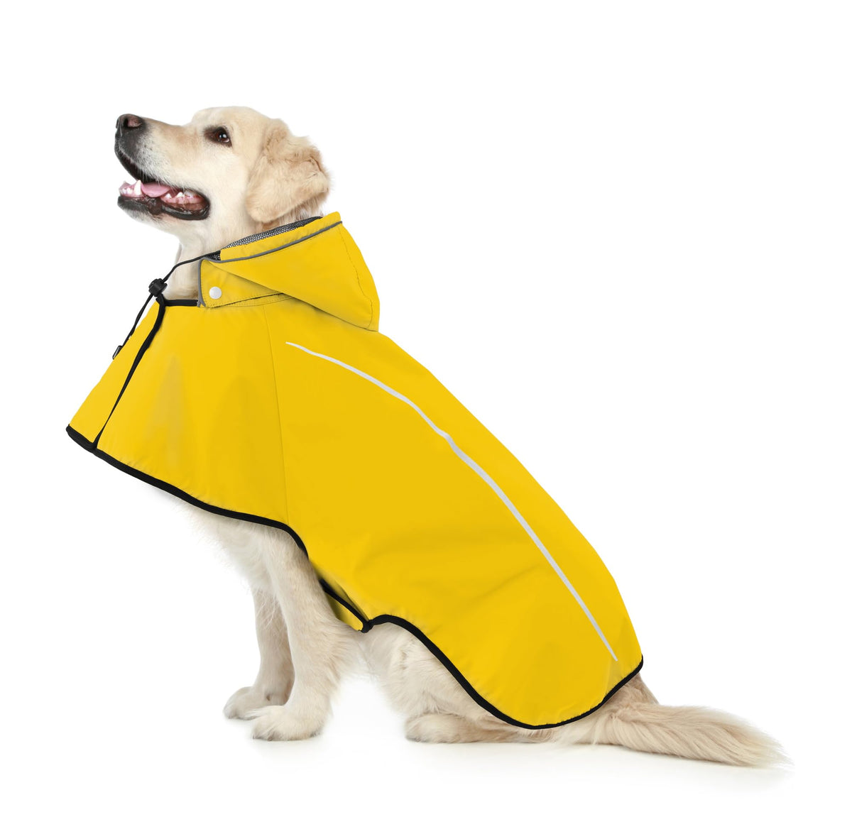 Mile High Life: capa de lluvia para perro ajustada en pecho y espalda.
