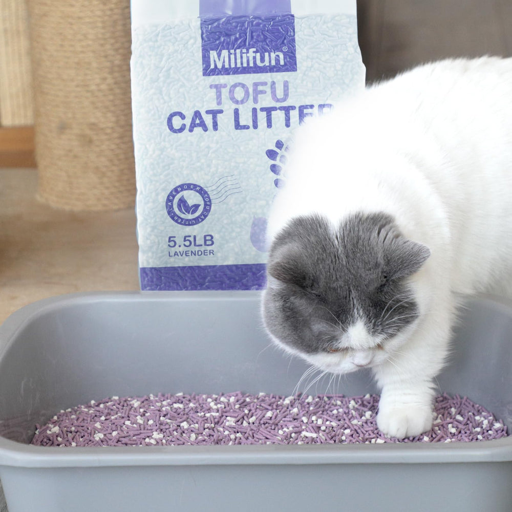MILIFUN Arena tofu para gatos granulado desodorizante mejora el aire.