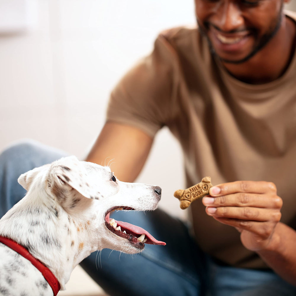 Milk-Bone calcio y fósforo para dientes fuertes y huesos sanos.