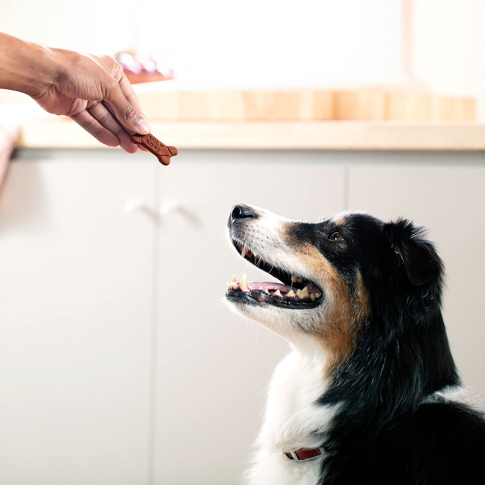 Milk-Bone dogs-of-all-sizes treats, versatile reward for training or daily joy.