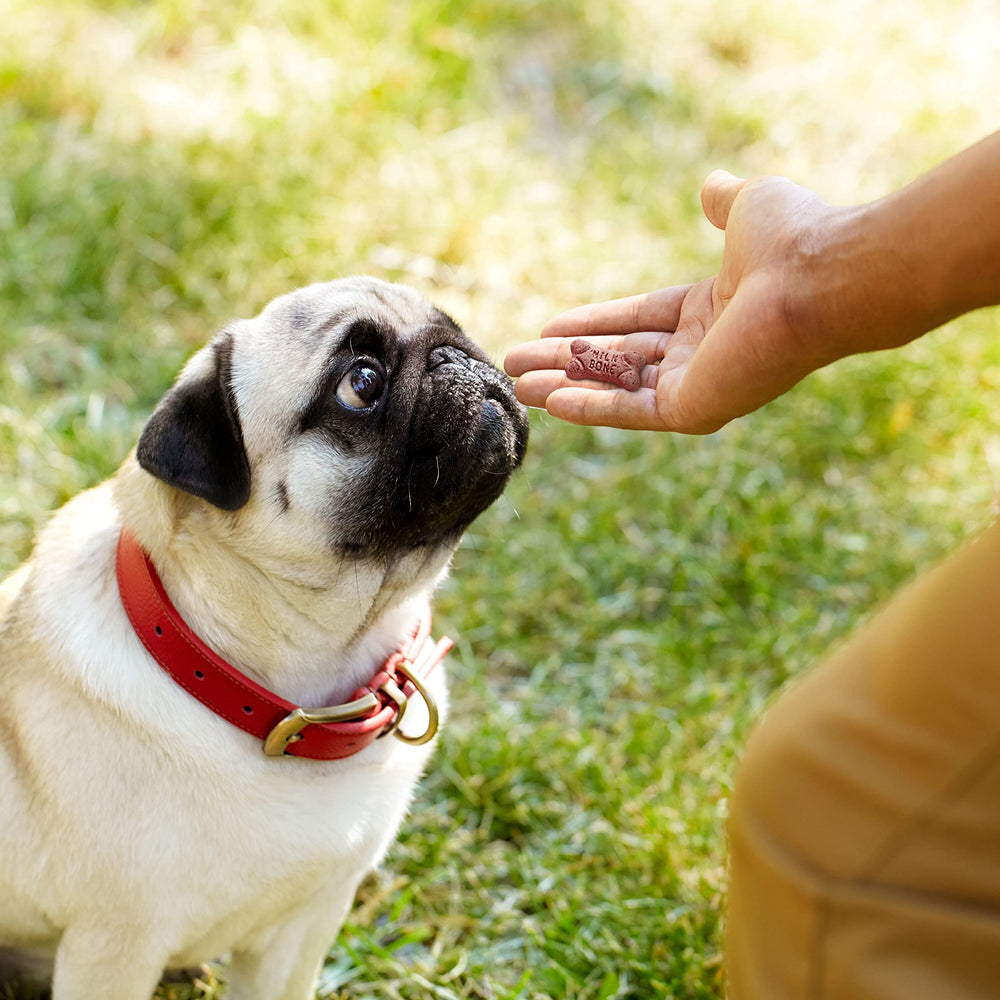 Milk-Bone Mini: textura crujiente que puede contribuir a la higiene bucal.
